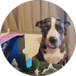 Profile photo of RaC 777