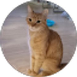 Profile photo of Chris Horne