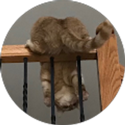 Profile photo of Bob Fox