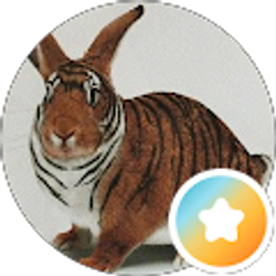 Profile photo of Rl Parker