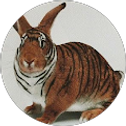 Profile photo of Rl Parker