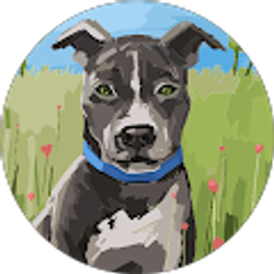 Profile photo of Lynn T