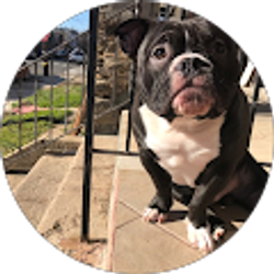 Profile photo of hugo garcia