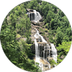 Profile photo of Abbegail Foreman