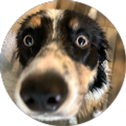 Profile photo of Jeyson Muguercia
