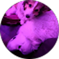 Profile photo of Moises Perez