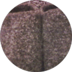 Profile photo of Tammy Armstrong