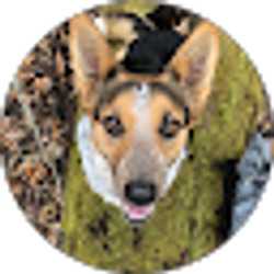 Profile photo of C “CSparky” Sparks