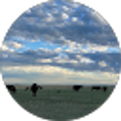 Profile photo of Michele Erickson