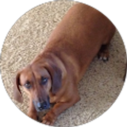 Profile photo of BRIAN ERDELT