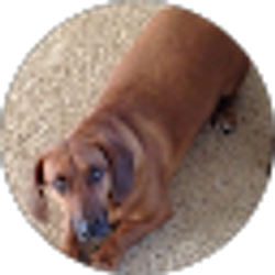 Profile photo of BRIAN ERDELT