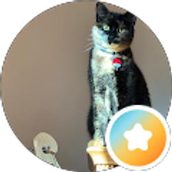 Profile photo of Gabbisan