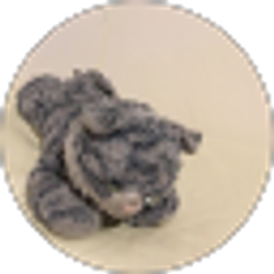 Profile photo of Livnat Hai-Choron