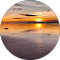 Profile photo of Darlin Lopez