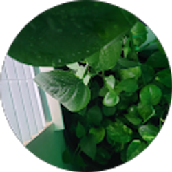 Profile photo of Aaliyah Gordon