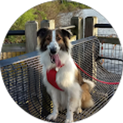 Profile photo of Nikki C