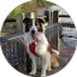 Profile photo of Nikki C