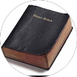 Profile photo of Maame Akua