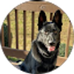 Profile photo of Noah Joiner