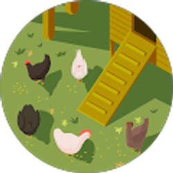 Profile photo of Angela Hitchcox