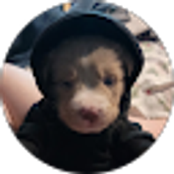 Profile photo of Gauge Grant