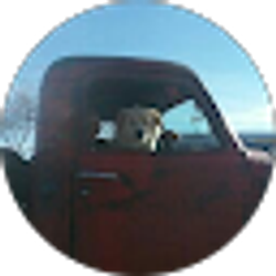 Profile photo of John Gillham