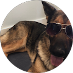 Profile photo of Payton Hill