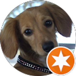 Profile photo of DONALD HEROD (SKYKOP)