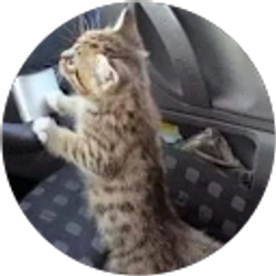 Profile photo of Angela Brandon