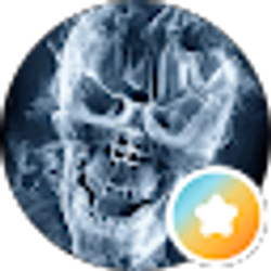 Profile photo of Damian Rimola
