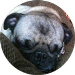 Profile photo of blake wood