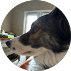 Profile photo of Jake ivey