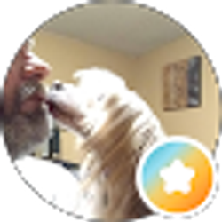 Profile photo of Steven Arens