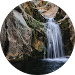 Profile photo of Tyrone Johnson, M.S.