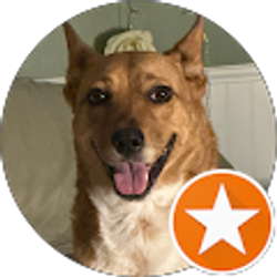 Profile photo of Tyler Zubritsky