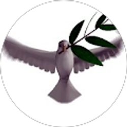 Profile photo of jose sanchez