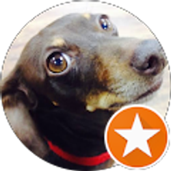 Profile photo of Patrick Henry