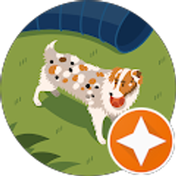 Profile photo of D. Todd Detar, DO