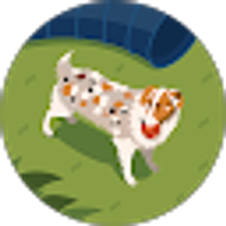 Profile photo of D. Todd Detar, DO