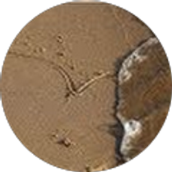 Profile photo of Iwona Grabowska