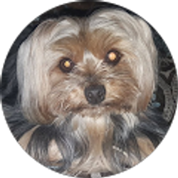 Profile photo of Linda Colon
