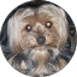 Profile photo of Linda Colon