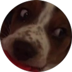 Profile photo of Brandon O