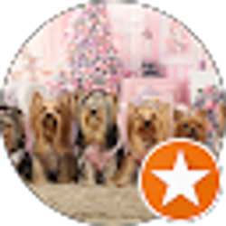 Profile photo of tamar bakuradze