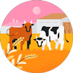 Profile photo of Chelsey Runtuwene