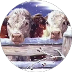 Profile photo of GARY WAGNER