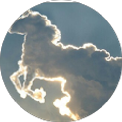 Profile photo of Season Tompkins