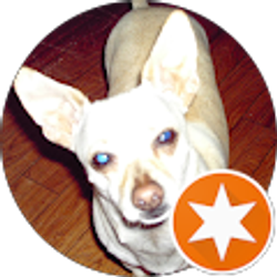 Profile photo of walter miller