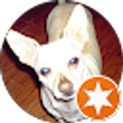 Profile photo of walter miller