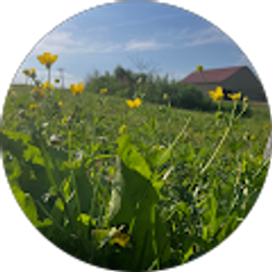 Profile photo of Natalie